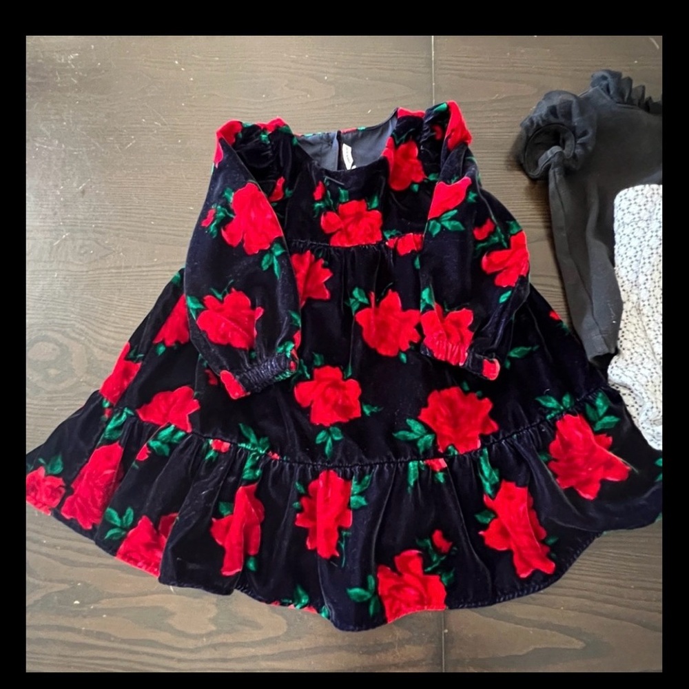 Janie and Jack Floral Velvet Dress with Red Roses